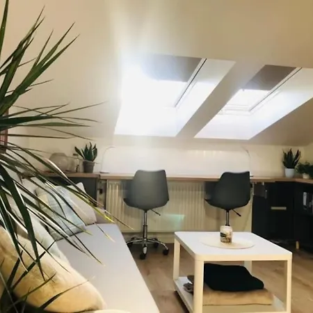 Apartment Qwadrat 15 In Center *